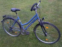 Damen Damenfahrrad McKenzie Trekking 27,5 Zoll
