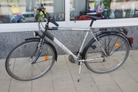 Herren Trekking Fahrrad Ruddy Dax Gordo 28" Shimano 18 Gänge Cityrad Bike Rad