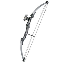 Compound Bogen 55lbs silber/schwarz