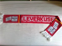 Fussball Fan Schal TSV Bayer 04 Leverkusen Pillendreher RAR