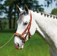BUSSE Kappzaum Professional Solibel schwarz und hazel Pony | Vollblut l Warmblut