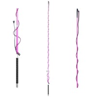 Teleskop Longierpeitsche, Longiergerte, Teleskoppeitsche neon pink aubergine