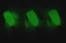 SPIN N GLO LOT 3 SPINNER LURE TROUT SALMON STEELHEAD ALASKA AUSTRALIA WORDEN'S