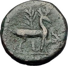 EPHESUS Ephesos in Ionia 200BC Bee Stag Authentic Ancient Greek Coin i58340