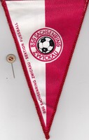 Fußballwimpel BSG Sachsenring Zwickau Wimpel + Anstecknadel