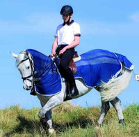 Horseware Amigo Flyrider, Amigo Fliegenausreitdecke, Fliegen Ausreitdecke Amigo