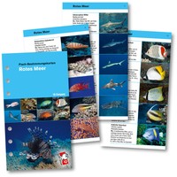 IQ Logbuch Einlagen Fische Rotes Meer SSI Lochung für M Logbuch - NEU !!!