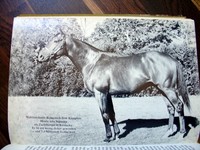 1973 Nijinsky - Pferd des Jahrhunderts * Vollblut Galoppsport Zucht FOTOS * Palm