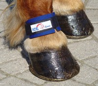 ICE-line Fesselschutz Protection Neopren versch. Größen Isländer Islandpferd