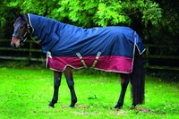 Amigo Mio All-In-One Regendecke mit Halsteil Medium Navy-Burgundy 115-160