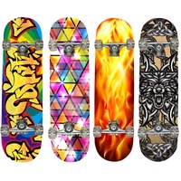 Hansson Sports Top Skateboard Komplett Ahornholz 4 NEUE Modelle zur Wahl!