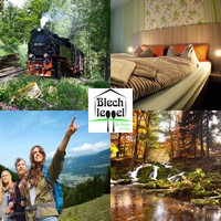 HARZ 3 Tage  mit HP 3-Gang-Menü vegane Küche für 2 P in der Pension Blechleppel