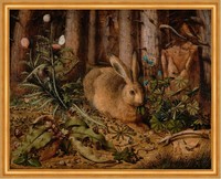 Hase im Wald A Hare in the Forest Hans Hoffmann Natur Löwenzahn B A2 02198