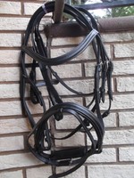 Trense mit schwedischem Reithalfter, incl Zügel, gute Gebrauchsqualität