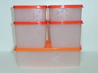 Tupperware Gefrierbehälter  