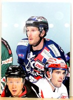 Playercard - Eishockey DEL Basic Serie 2 15/16 - Hamburg Freezers