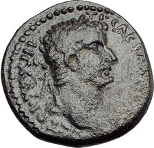 TIBERIUS 31AD Antioch Large SC BIBLICAL TIME Authentic Ancient Roman Coin i57883