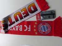 FC Bayern München Deutschland Fanschal Zugabe Schlüsselanhänger+Handyhülle Filz