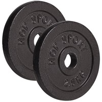 5 kg Hantelscheiben 2x2,5 kg Guss Gewichte 30/31mm Hanteln Scheiben Set Hanteln