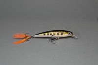 Rapala Wobbler X-RAP 8cm XR-8 - MD Muddler - neu