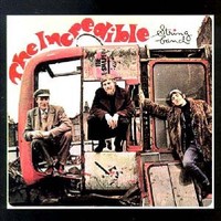 The Incredible String Band / The Incredible String Band - Vinyl LP