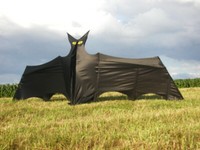 Einleiner-Drachen: Fledermaus 345cm