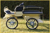 Fahrschulwagen Kutsche Fahrschulwagen Marathonwagen 23" Kutschen gelb