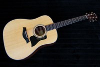 Taylor 310
