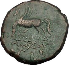 AMISOS in PONTUS MITHRADATES VI the GREAT Time Perseus Pegasus Greek Coin i53372