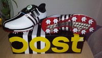 Adidas Tour360 Boa boost