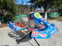 Birel KZ 125 RENNKART Chassis TOP QUALITÄT 