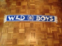 Ultras seidenschal schal WILDE BOYS Karlsruher SC