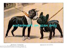 1919 ~French Bulldog and Boston Terrier Dog on leash~ New Large Note Cards