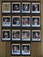 14 - teiliger Autogrammkartensatz *DEUTSCHLAND BASKETBALL* DBB EM 2015 Nowitzki