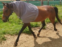 Halsteil für Ekzemerdecken  Ekzemerdecke  Halsdecke für Ekzemer Lycra