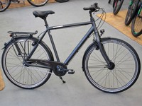 RALEIGH DEVON HS Herren 28" RH50cm Trekkingrad 8-Gang Nexus MAGURA HS11 mattgrau