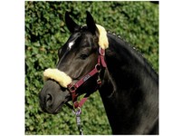 HKM Halfter, Nylonhalfter mit Lammfell *NEU* verschiedene Farben Luxus edel %