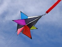 Einleiner Rotations-Drachen: Jewel Kite 