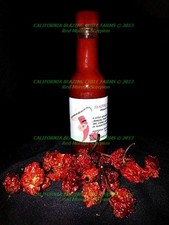 Organic Trinidad Scorpion Hot Sauce SALSA PICANTE~5 oz.! NUCLEAR HOT Flaming hot