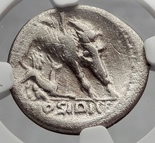 Roman Republic DIANA's Calydonian BOAR Hunt w Dog Ancient Silver Coin NGC i59977