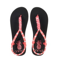NEW ANIMAL WOMENS RUE NEOPRENE SOFT TOE POST FLIP FLOPS/BEACH SANDALS 6S/314/002
