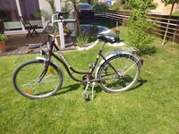 Damenfahrrad 26-er Pegasus