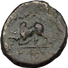 Magnesia ad Maeandrum in Ionia 300BC Horseman Bull Ancient Greek Coin i50523