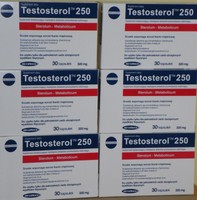 6 x Testosterol 250 Anabolic anabole Wirkung Testosteron & Libido Booster