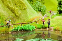 Noch 14104 HO L-C Wasserknöterich (LASER CUT minis Pflanzen)  #NEU in OVP#