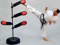 Focus Kick Plus 4 Zielpunkte Trainingsgerät für Karate,Taekwondo,Kung Fu,Budo