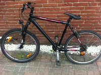 Mountainbike Bergamont Tronic  26 Zoll Gebraucht 