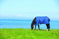 HORSEWARE RHINO Original Turnout Lite 0g, hochwertige Weidedecke - neues Modell