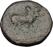 Ancient Greek City 300BC Bull Lyre of Apollo Authentic Ancient Coin RARE i50573