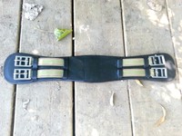 Sattelgurt , Dressurgurt, Dressurkurzgurt